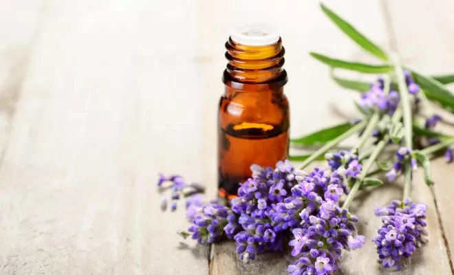 Vente d'huiles essentielles, Angoulême, Pharmacie Zaari et Robreau